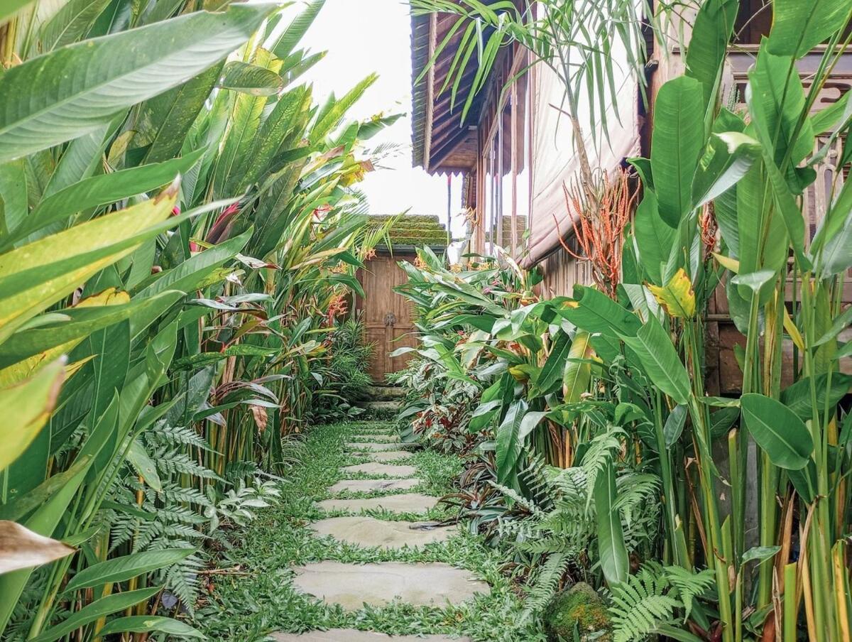 Nyoman Sandat House 1 Ubud Extérieur photo